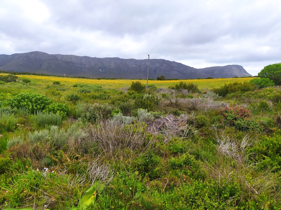 0 Bedroom Property for Sale in De Kelders Western Cape